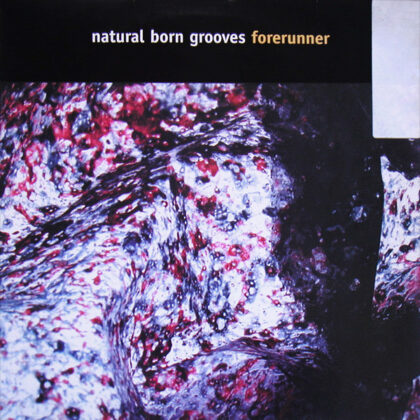 Natural Born Grooves – Forerunner